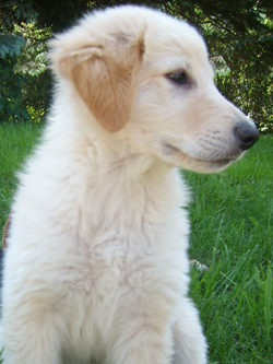 03 Juni 2010 160_250