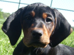 03 Juni 2010 166_250