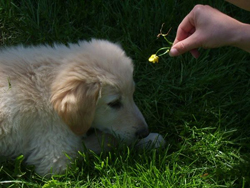 03 Juni 2010 167_250