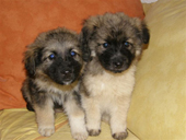 Lisbeth und Mikai Januar 2010 108_170